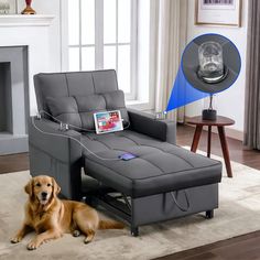 a dog laying on the floor in front of a couch with an electronic device attached to it