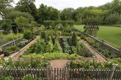 a garden filled with lots of different types of plants