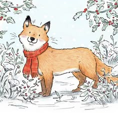 a drawing of a fox wearing a scarf and standing in the snow surrounded by holly branches