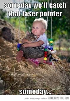 a little boy sitting on a swing with a cat in his lap and caption that reads, best friends don't need to be the same species