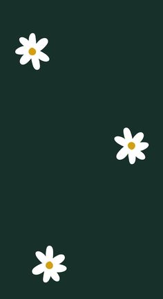 two white flowers on a dark green background