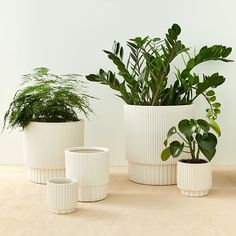 three white planters with plants in them sitting on a wooden table next to each other