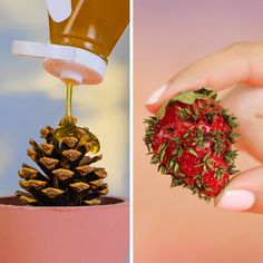 a hand holding a strawberry and a pine cone with liquid pouring out of the top