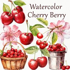 a painting of cherries and buckets with flowers in the background that says watercolor cherry berry