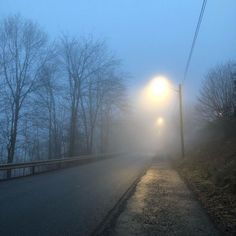 a foggy road with street lights on the side and trees in the back ground