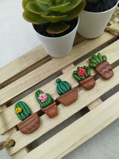 some plants are sitting in clay pots on a wooden shelf next to a potted plant