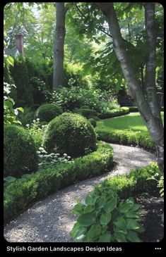 an image of a garden design with trees and bushes in the foreground, along with gravel path