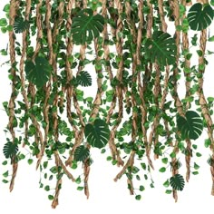 a bunch of green plants hanging from the ceiling