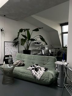 a living room with a green couch and potted plants in the corner on the far wall