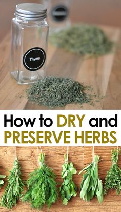 how to dry and preserve herbs