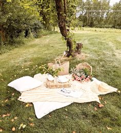 a picnic blanket and basket on the grass in front of a tree with leaves around it