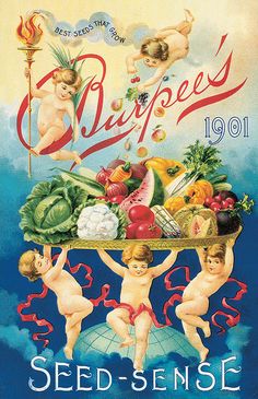 an advertisement for seed - sense from the early 1900's, featuring three cherubs holding a tray of fruit and vegetables