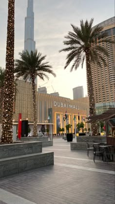 palm trees in front of the burj mall with lights and buildings behind them