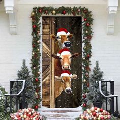 two cows wearing santa hats standing in front of a christmas door with decorations on it