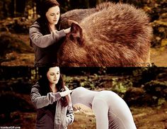 two pictures one with a bear and the other with a woman in white leggings