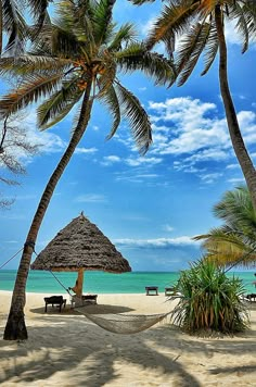 a hammock between two palm trees on the beach