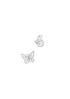 two butterflies flying side by side on a white background