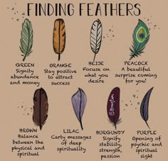 Weather Magick, Feather Color Meaning, Mythology Creatures, Finding Feathers, Feather Meaning, Witch Things, Animal Spirit Guides, Unique Meaning