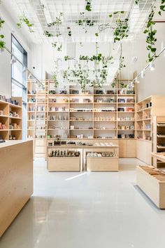 the inside of a store with wooden shelves and plants hanging from the ceiling above them