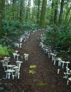 many small white tables and chairs in the woods