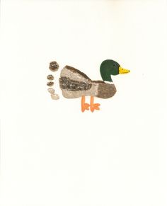 a drawing of a duck on a white background with rocks and stones in the foreground