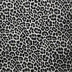 255050 Gray Silver Leopard Cheetah Wallpaper Gucci Black Pattern, Light Grey Leopard Print Wallpaper, Black And White Leapord Print Wallpaper, Grey Leopard Wallpaper, Insta Collage, Cheetah Print Background, Cheetah Wallpaper, Leopard Print Wallpaper, Cheetah Print Wallpaper