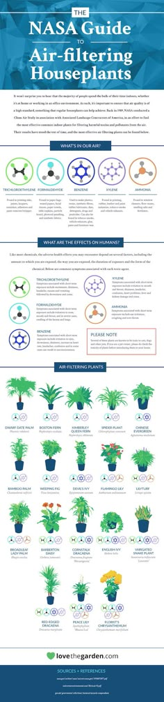 an info sheet detailing the different types of houseplants and how to use them