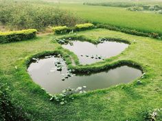 a heart shaped pond in the middle of a lush green field