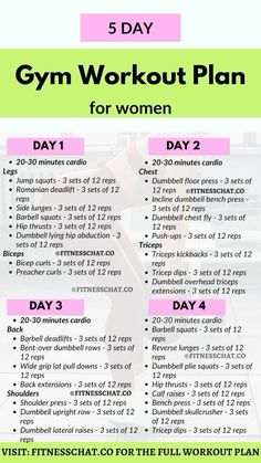 the 5 day gym workout plan for women