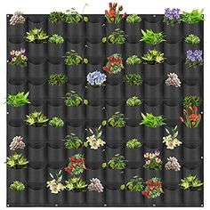 a bunch of plants that are in some potted planters on a black background