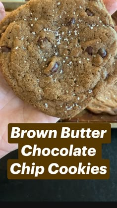 a person holding up a chocolate chip cookie