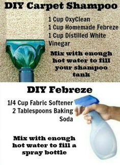 the instructions for how to use a carpet shampoo and diy ferretzer