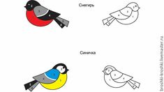 four different birds with numbers on them and one bird has the same color as the other