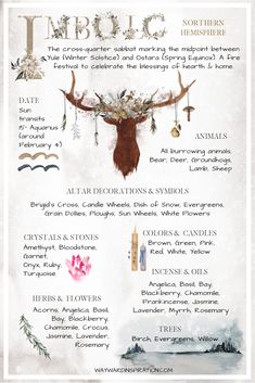 The Wheel of the Year: Imbolc | Wayward Inspiration Fire Festival, Magia Das Ervas, Modern Witch, Spells Witchcraft