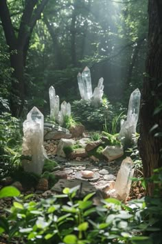 some rocks and plants in the middle of a forest