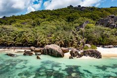 an island with palm trees and rocks in the water