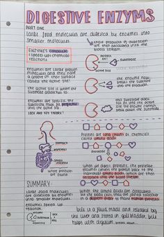 Aesthetic notes, purple, pink, highlighters Enzymes Biology Notes Gcse, Notes Biology Aesthetic, Gcse Revision Notes, Revision Board, Gcse Physics Revision, Gcse Notes, School Revision, Notes Biology, Gcse Science Revision