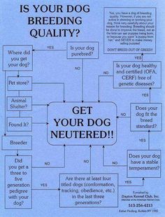 a blue poster with instructions on how to get your dog's neutered