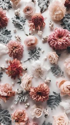 an overhead view of flowers on a white surface with grey leaves and pink blooms in the center