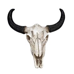 an animal's skull with large horns on a white background is seen in this image