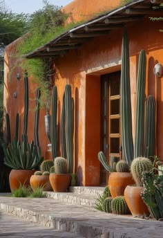 several large cactus plants in front of an orange building with steps leading up to it