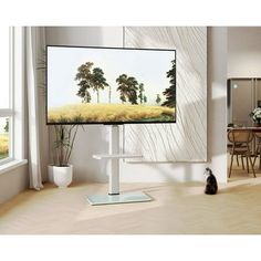 a cat sitting in front of a flat screen tv