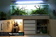 an aquarium with plants growing in it is lit up by the light from above, and below