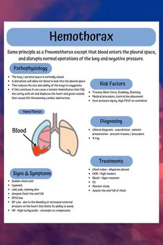 the hemothrax is an organ that helps to control blood flow through the lungs