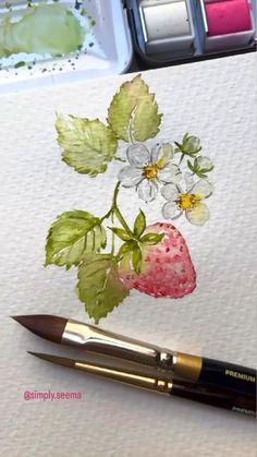 a watercolor painting of strawberries and daisies on paper next to a brush