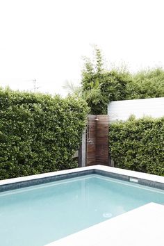 an empty swimming pool surrounded by hedges