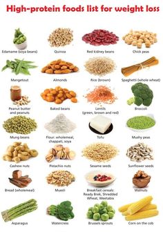 high protein foods list for weight loss and a healthy way of living Pancakes Low Carb, High Protein Foods List, Protein Foods List, High Protein Foods, Rich Food, Protein Dinner, Overnight Oat, Protein Rich Foods