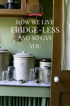 there is a book about how we live fridge - less and so can you?