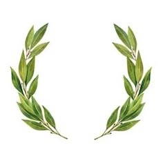 two green leaves are arranged in the shape of a wreath