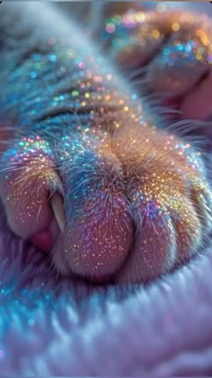 a close up of a cat's paw with glitter on it